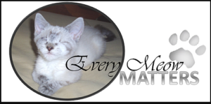every meow matters logo